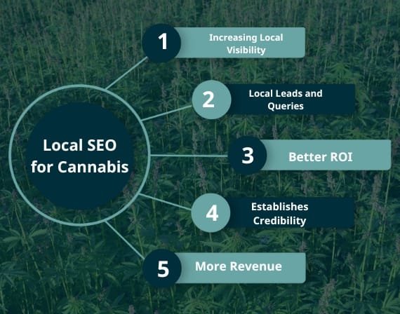Top cannabis web design agency offering SEO services for cannabis brands and dispensary visibility growth