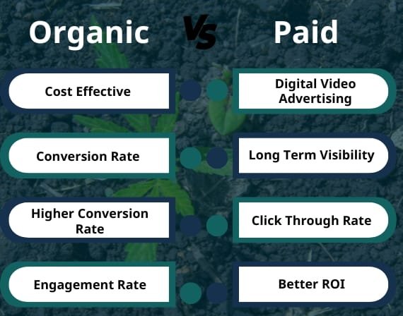 Build customer loyalty with best cannabis marketing agency and SEO services for cannabis businesses online