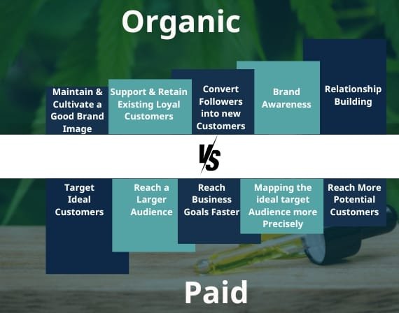 Top SEO services and digital marketing company for CBD and Delta-8 by CresZak Digital Media experts online